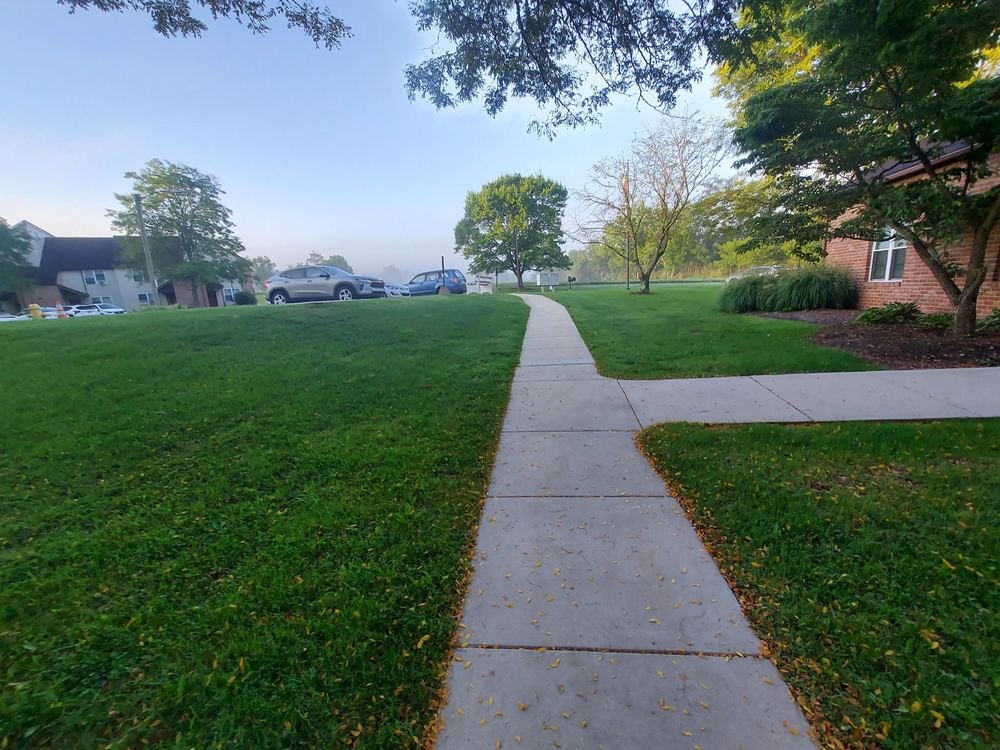 A concrete path running between mown lawns towards the apartment buildings on a misty morning.